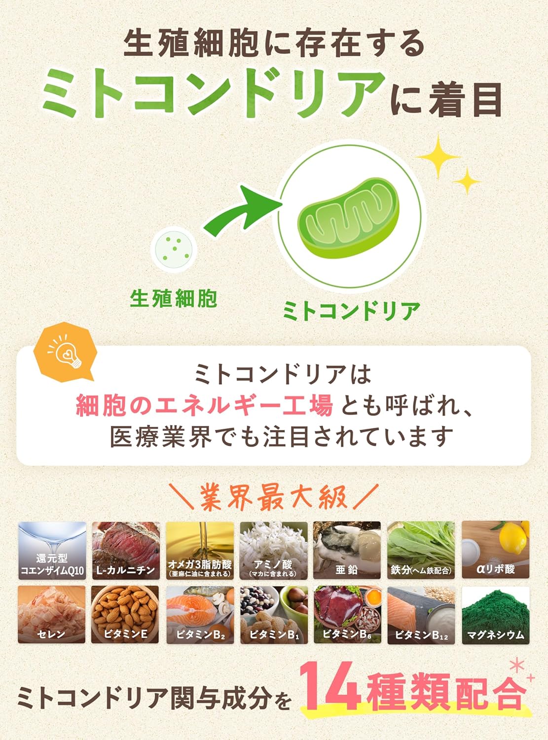 ベルタプレリズム葉酸 サプリ 90粒×1袋 30日分