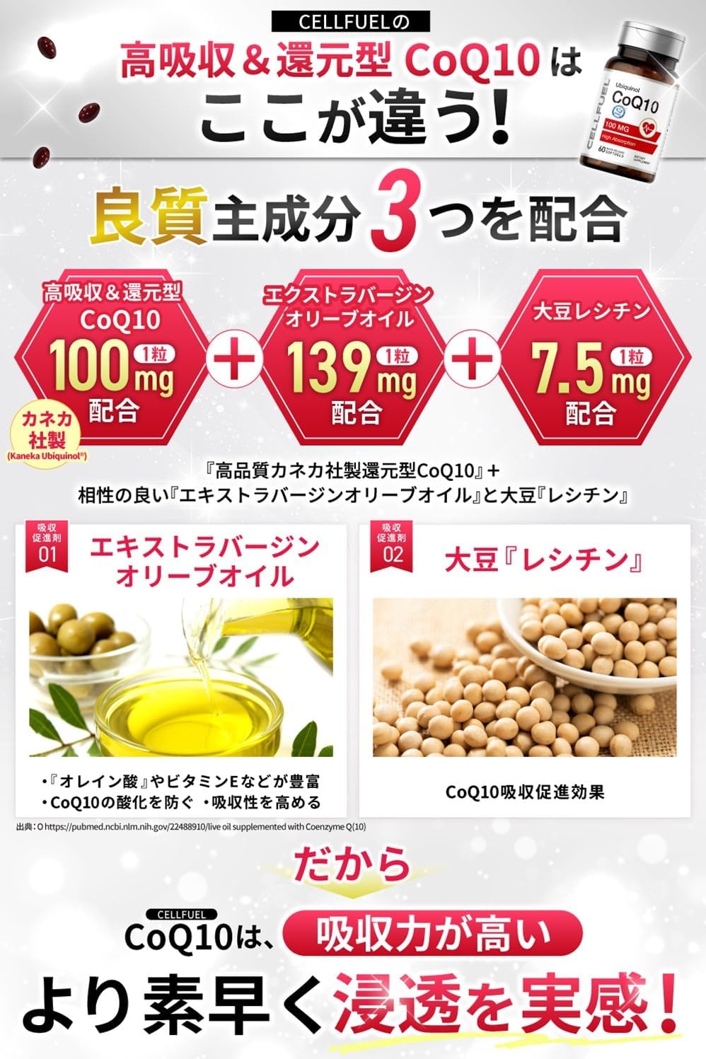 コエンザイムQ10 1粒100mg【60粒×1袋 60日分】