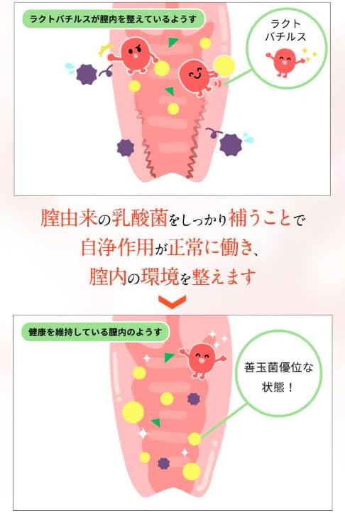 Femiflora(フェミフローラ)【60粒×1袋 30日分】